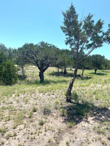 613 Oriole Avenue Camp Wood TX 78833