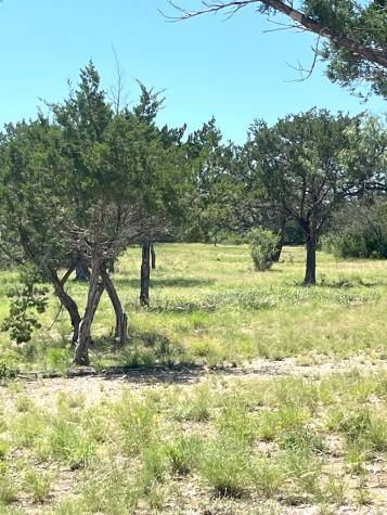 613 Oriole Avenue Camp Wood TX 78833