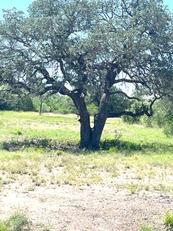 613 Oriole Avenue Camp Wood TX 78833