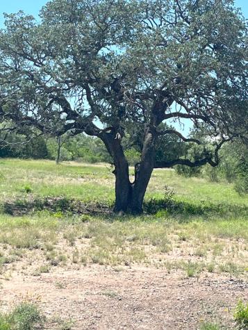 613 Oriole Avenue Camp Wood TX 78833