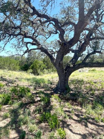 613 Oriole Avenue Camp Wood TX 78833