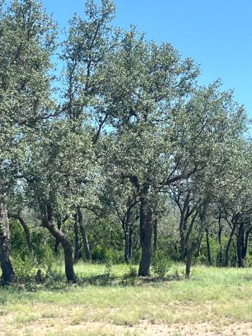 613 Oriole Avenue Camp Wood TX 78833
