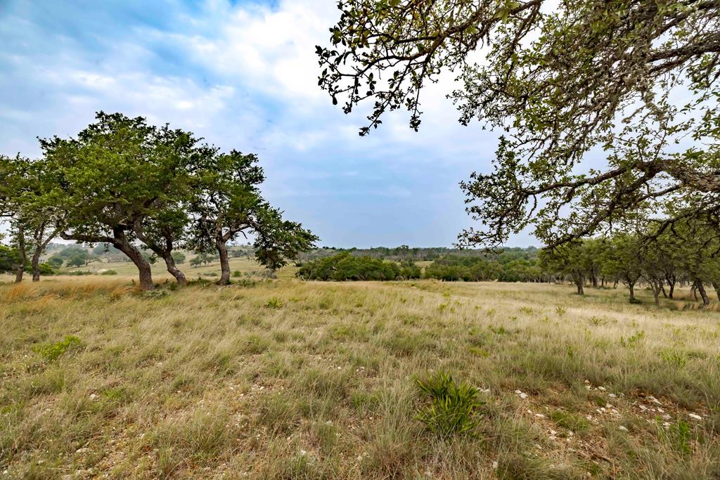 Lot 24 Badger Ridge Road Fredericksburg TX 78624