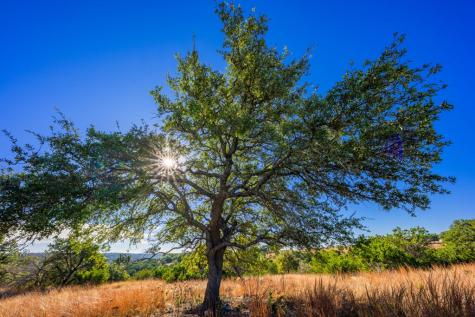 Lot 130 Dillon Ridge Drive Kerrville TX 78028