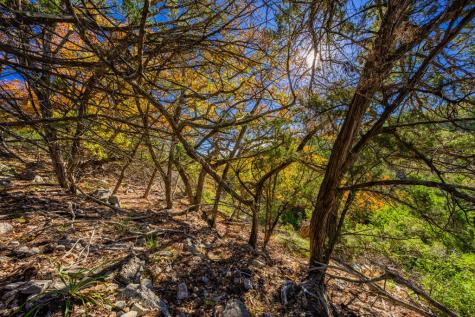 Lot 130 Dillon Ridge Drive Kerrville TX 78028