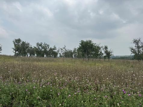 Lot 51 Badger Ridge Road Fredericksburg TX 78624