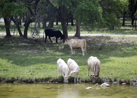627 Lake Ridge Kerrville TX 78028