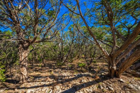 627 Lake Ridge Kerrville TX 78028