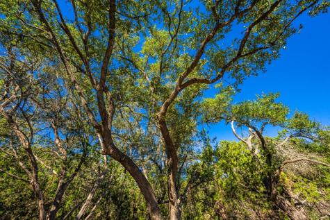 627 Lake Ridge Kerrville TX 78028