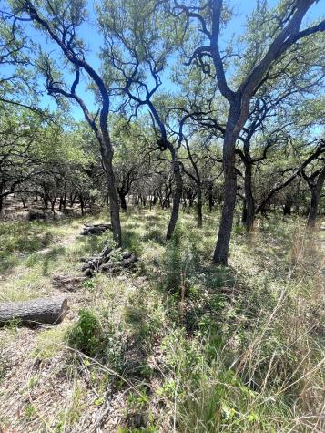 430 Fm 2748 Concan TX 78838