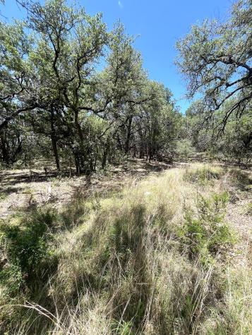 430 Fm 2748 Concan TX 78838