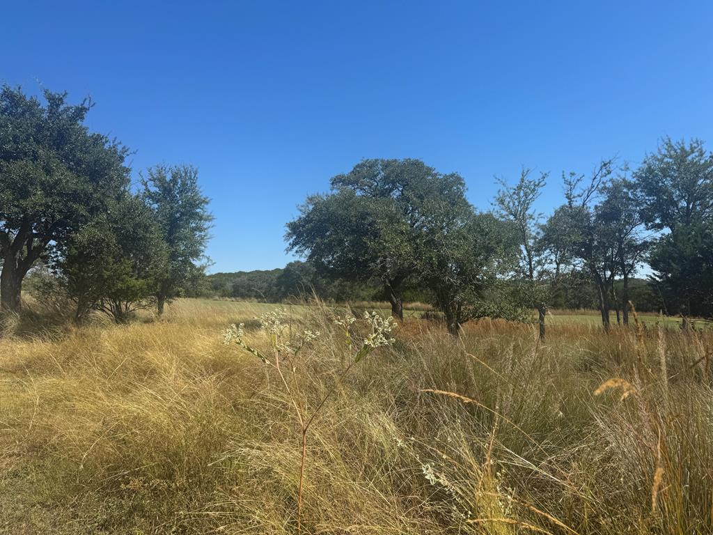 1072 Albatross Way Kerrville TX 78028