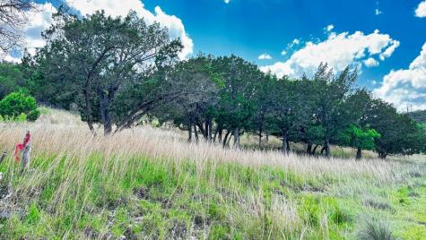 565 Stablewood Drive Kerrville TX 78028