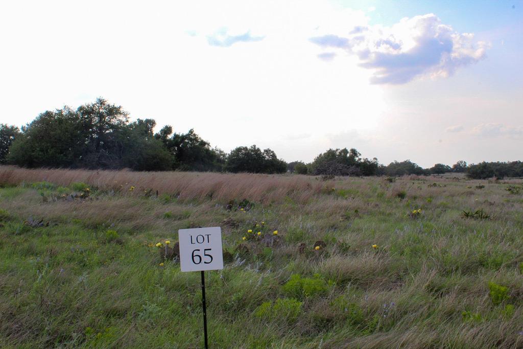142 Nantan Lane Harper TX 78631