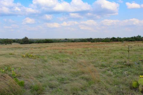 142 Nantan Lane Harper TX 78631