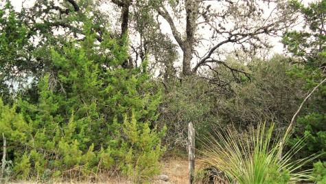 137 Middle Road Leakey TX 78873