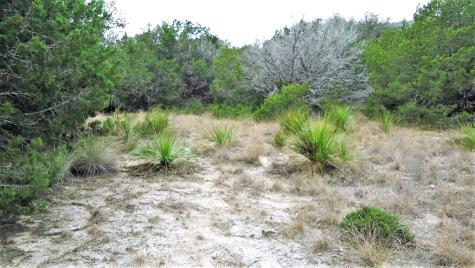 137 Middle Road Leakey TX 78873