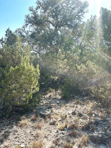 137 Middle Road Leakey TX 78873