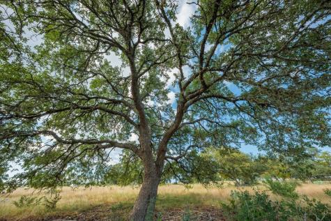 Lot 71 Tablerock Drive Kerrville TX 78028