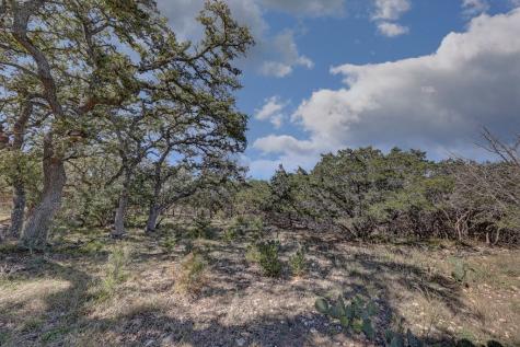 506 Sumack Drive W Kerrville TX 78028