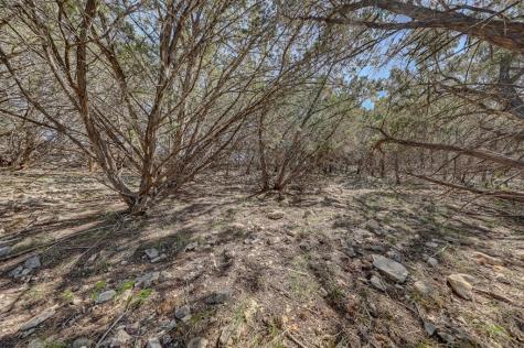 506 Sumack Drive W Kerrville TX 78028