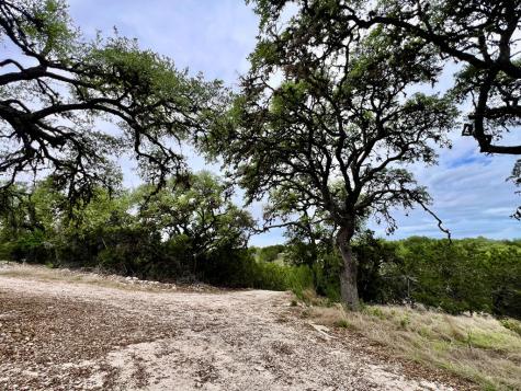 196 Dingley View Kerrville TX 78028