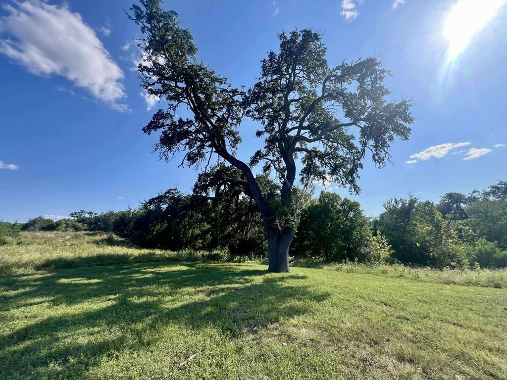 Trac 116 Winans Creek Road Bandera TX 78003