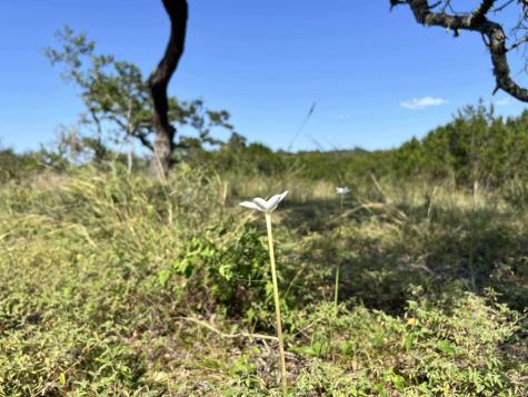 Trac 116 Winans Creek Road Bandera TX 78003