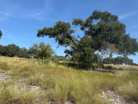 Lot 51 Walcott Ridges Drive Kerrville TX 78028