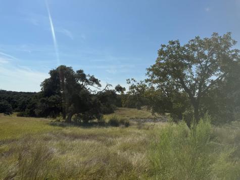 Lot 51 Walcott Ridges Drive Kerrville TX 78028