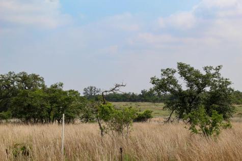 131 Lipan Loop Harper TX 78631