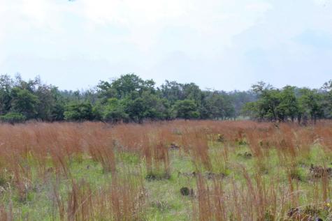 131 Lipan Loop Harper TX 78631