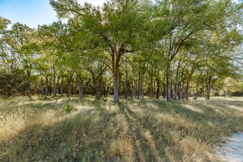 199 Palisades Drive Camp Verde TX 78010