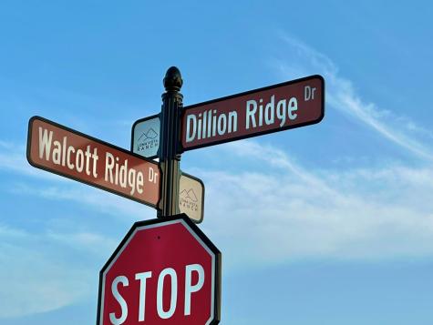 0 Dillon Ridge Drive Kerrville TX 78028