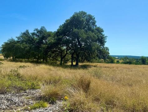 0 Dillon Ridge Drive Kerrville TX 78028