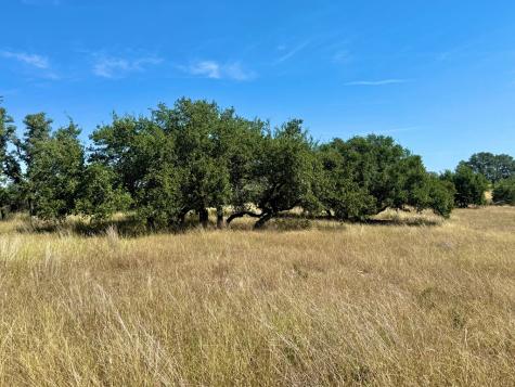 0 Dillon Ridge Drive Kerrville TX 78028