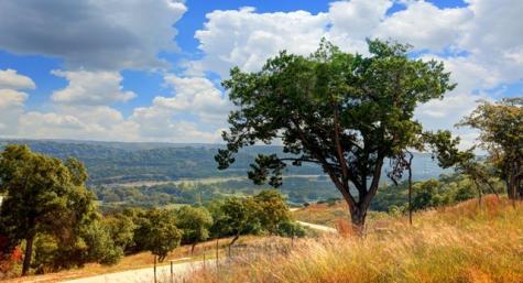 226 Heights Trail Kerrville TX 78028