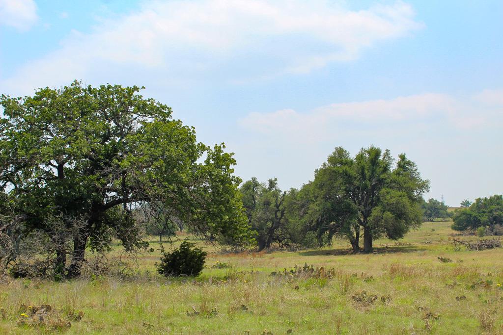 180 Nantan Lane Harper TX 78631