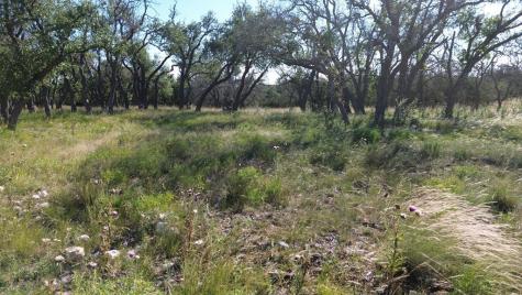 Lot 10 Rustler Ridge Mountain Home TX 78058