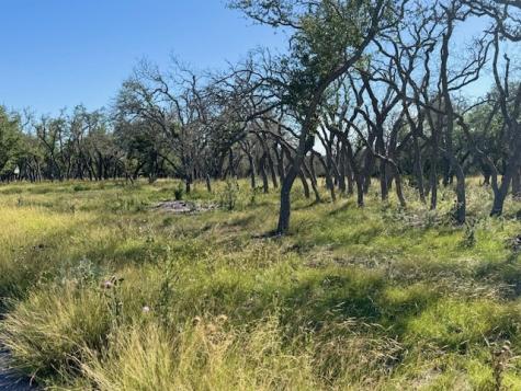 Lot 10 Rustler Ridge Mountain Home TX 78058