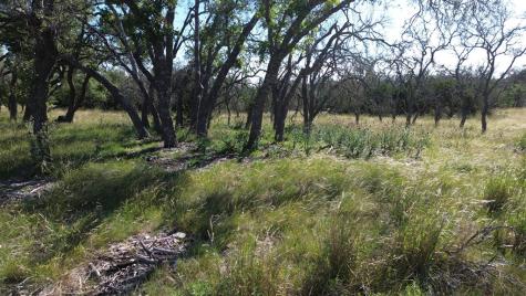 Lot 10 Rustler Ridge Mountain Home TX 78058