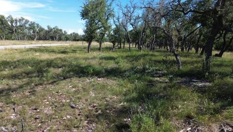 Lot 10 Rustler Ridge Mountain Home TX 78058