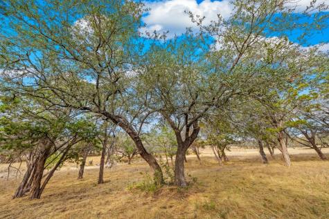 Lot 89 Spring Lakes Parkway Ingram TX 78025
