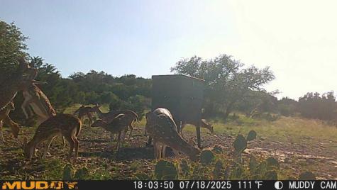 Lot 1 Highway 377 Rocksprings TX 78880