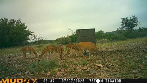 Lot 1 Highway 377 Rocksprings TX 78880