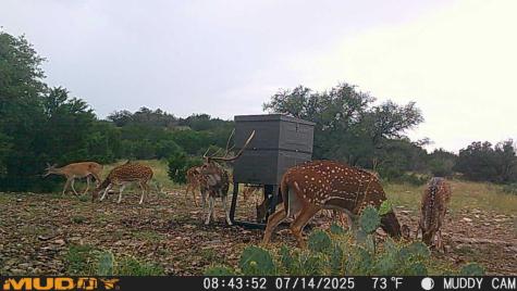 Lot 1 Highway 377 Rocksprings TX 78880
