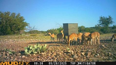 Lot 1 Highway 377 Rocksprings TX 78880
