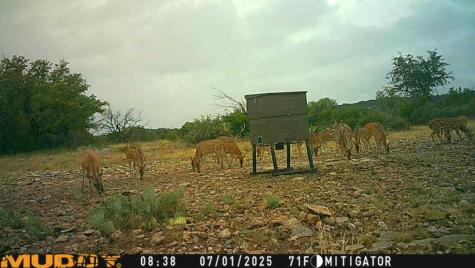 Lot 1 Highway 377 Rocksprings TX 78880