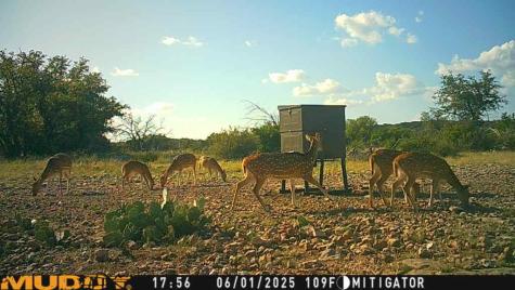 Lot 1 Highway 377 Rocksprings TX 78880