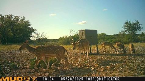 Lot 1 Highway 377 Rocksprings TX 78880